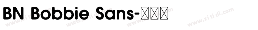 BN Bobbie Sans字体转换